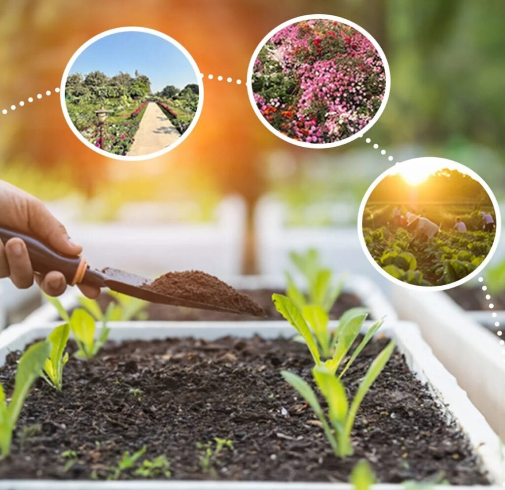 vermicompost fertilizer